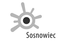 Sosnowiec logo A - SZARY 2.jpg